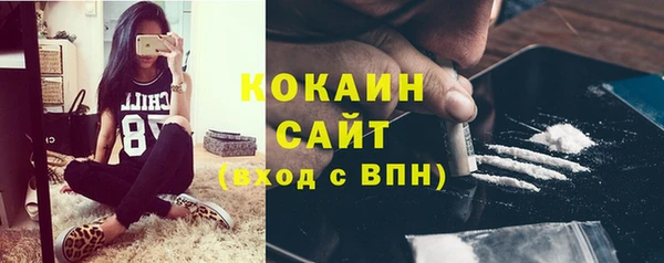 стаф Санкт-Петербург