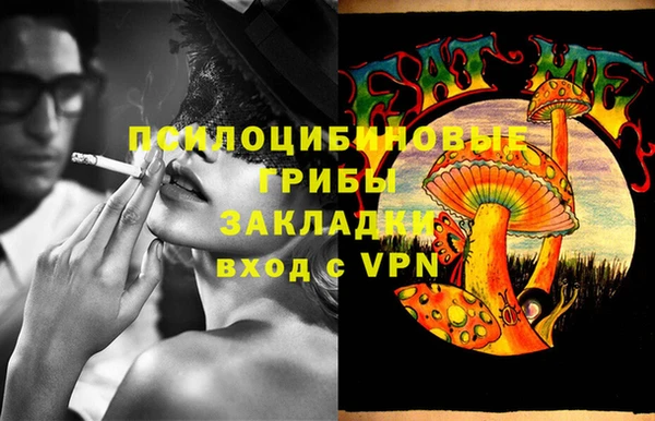прущая мука Нея