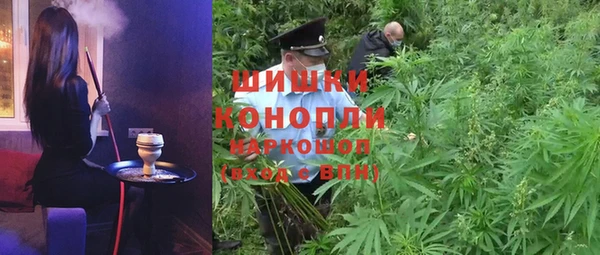 прущая мука Нея