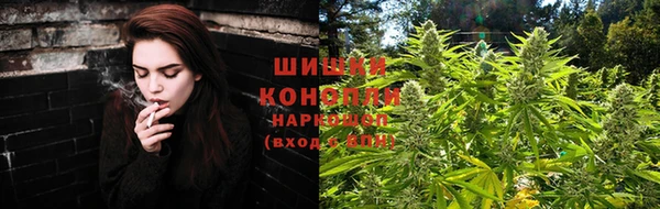 стафф Фёдоровский