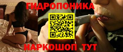 прущие крисы Волжск
