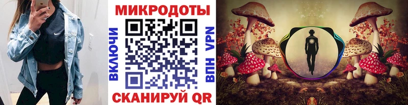 наркошоп  Новокузнецк  Псилоцибиновые грибы Psilocybe 